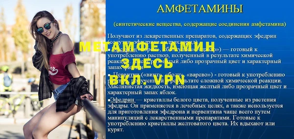 сатива Беломорск