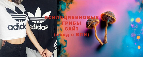 дурь Белоозёрский
