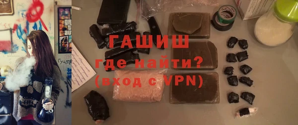 сатива Беломорск