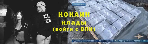 сатива Беломорск