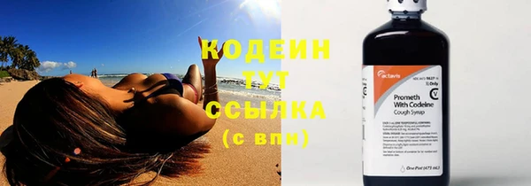 сатива Беломорск