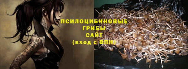 сатива Беломорск