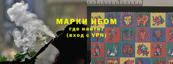 сатива Беломорск