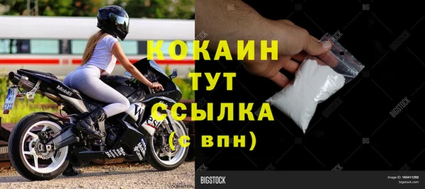 сатива Беломорск